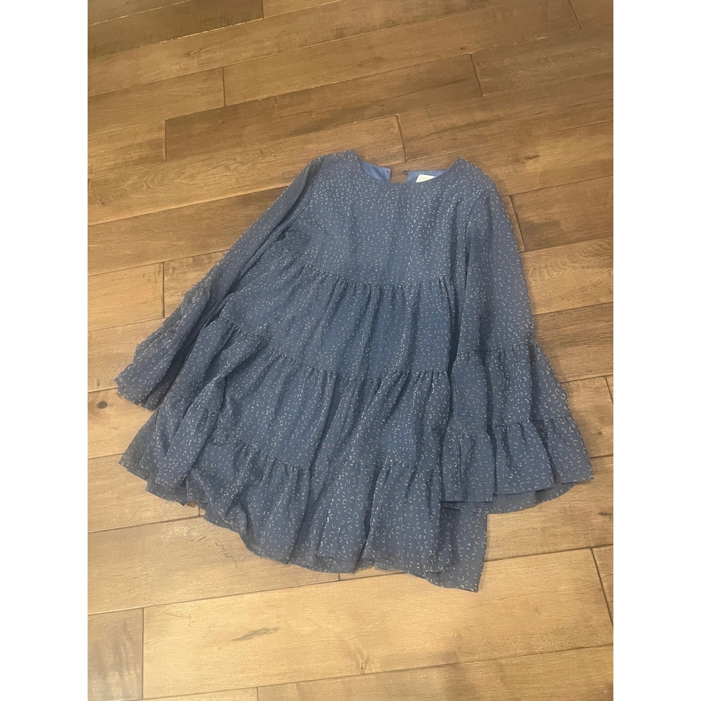 Altar'd State Blue Metallic Leopard Print Tiered Babydoll Blouse Small